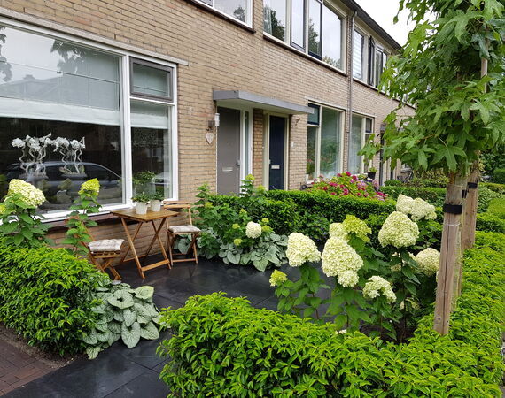 Strakke oudhollandse tuin Benschop regio Lopik, Utrecht 