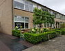 Strakke oudhollandse tuin Benschop regio Lopik, Utrecht 